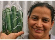 NEW SEASONS COURGETTES  500 Grams NORTHLAND Grown